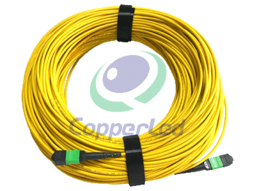 The Characteristics and Qualification Test of Fiber Patch Cord