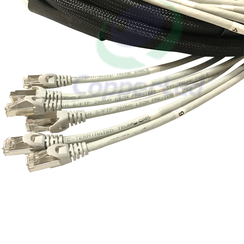 Patch Cord And Cable Assemblies CL-TR-STPC6AGY-7M