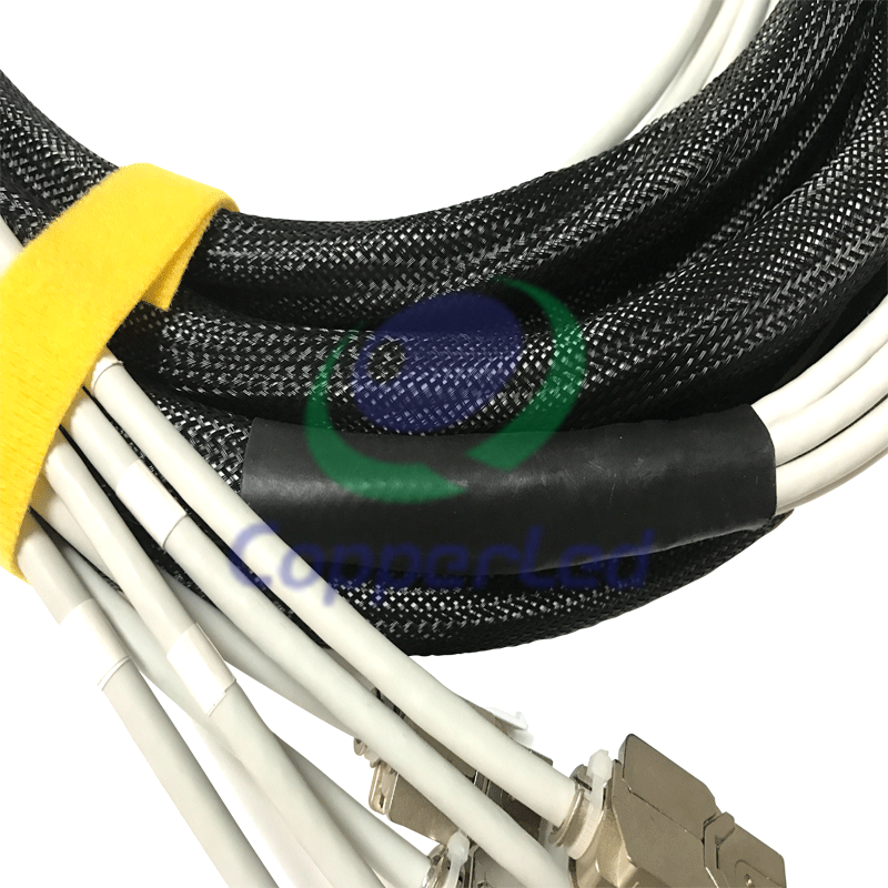 Patch Cord And Cable Assemblies CL-TR-STPC6AGY-7M