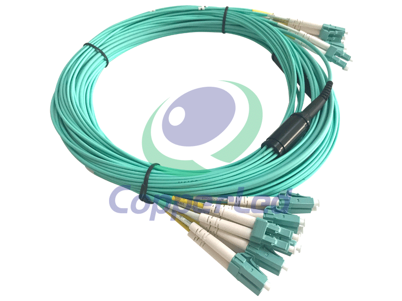 Fiber Optic System CL-PLCLC-OM12