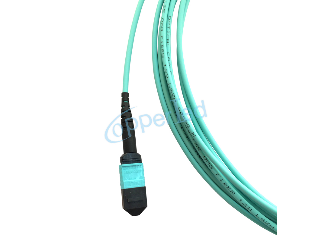 Fiber Optic System CL-PMPMP-O312