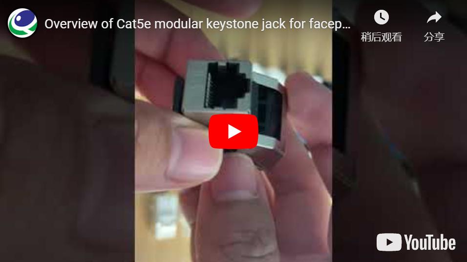 Cat5 Keystone Jack for For Faceplate and Patch Panel