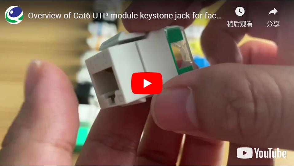 Cat6 UTP Module Keystone Jack for Faceplate & Patch Panel Using on Network Lan Cable