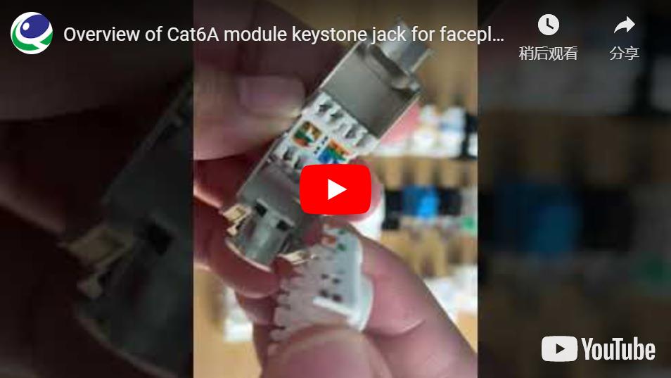 Cat6A Keystone Jack for Patch Panel on Network Environment