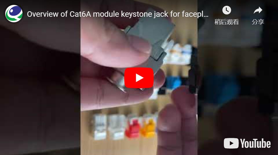 Cat6A Shielded Keystone Jack For Faceplate and Patch Panel