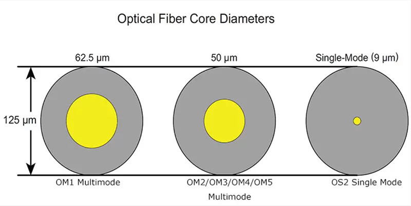 Copperled_Topic：_Which_fiber_optic_and_connectors_to_choose_to_interconnect_switches.png