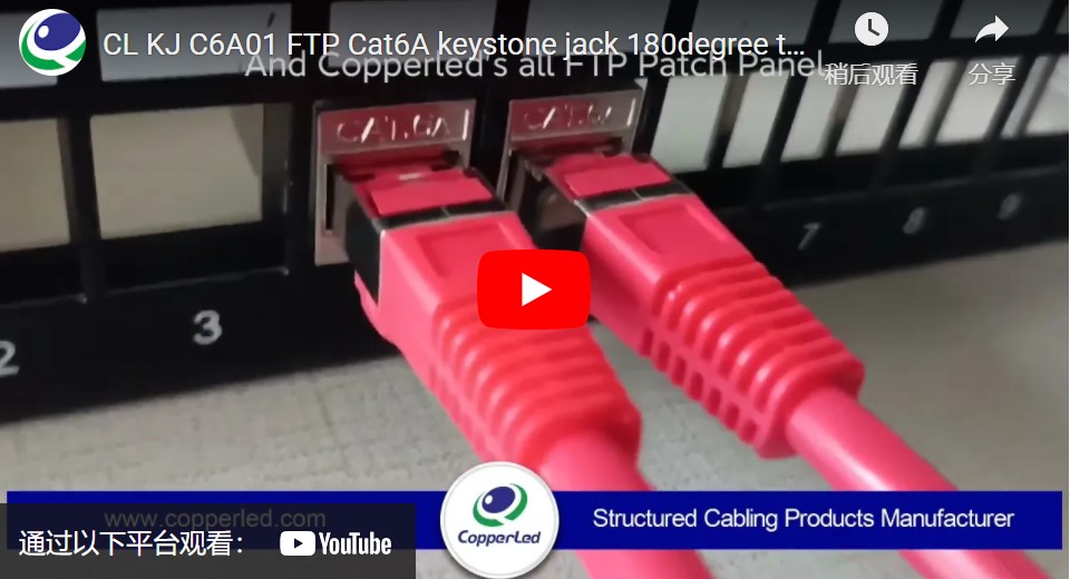 FTP Cat.6A Keystone Jack 180 Degree