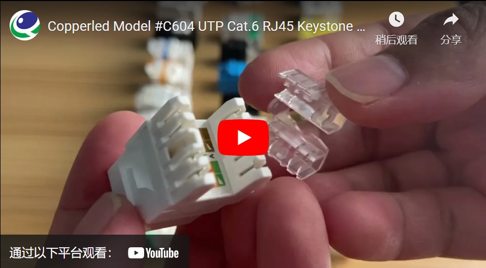 UTP Cat.6 Keystone Jack 180 Degree