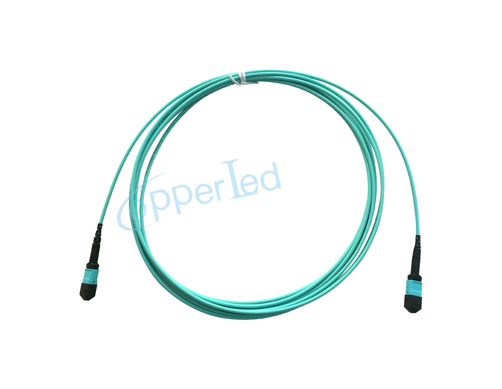 Fiber Optic System CL-PMPMP-O312
