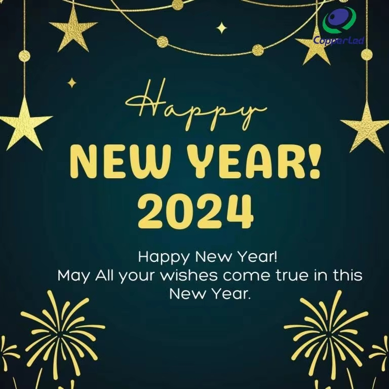 Happy New Year 2024！